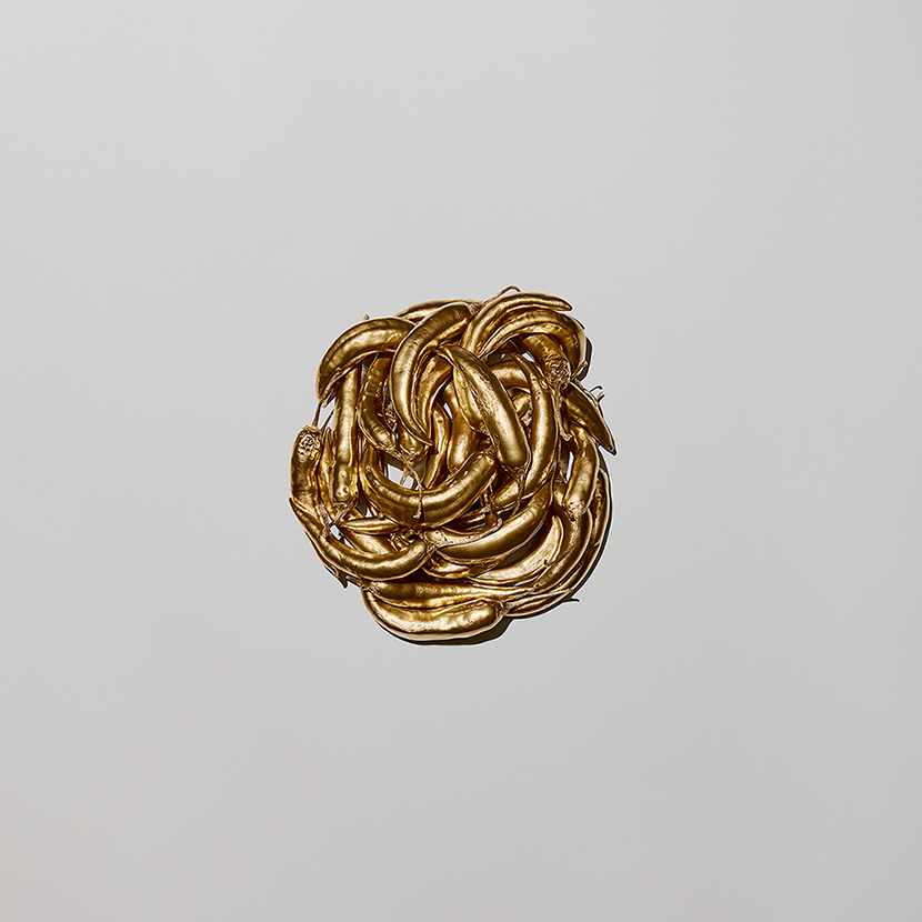 contemporary gold photography london title chillies