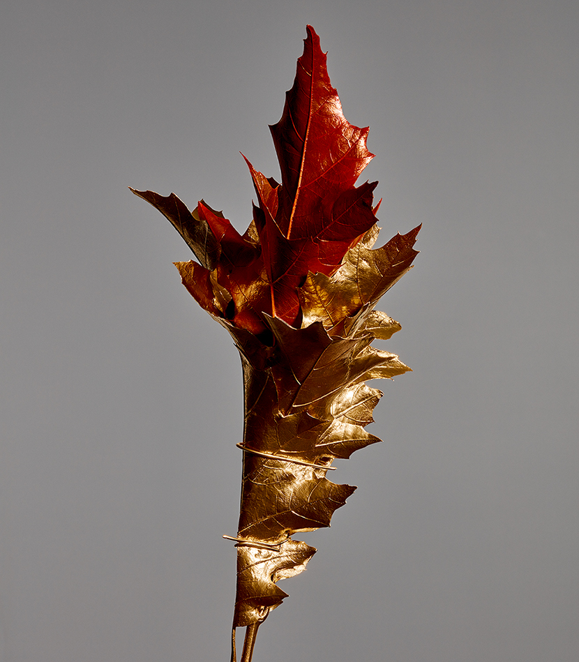 gold fruit in contemporary art
