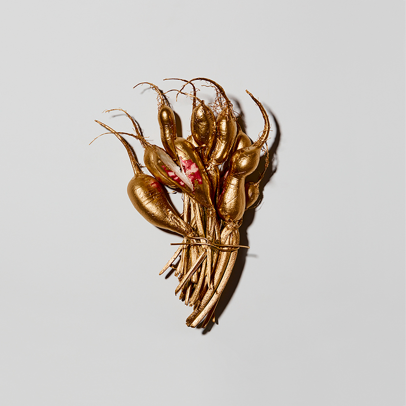 limited edition photography london living luxury art title radish